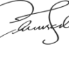 Woo Logo - Image 2